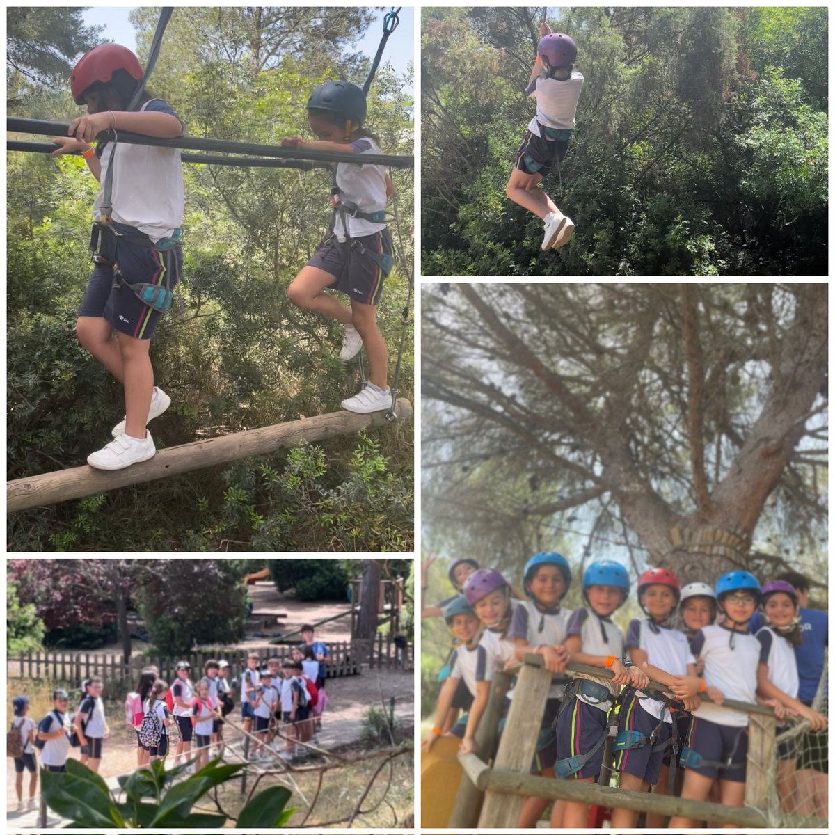 fecmips's tweet photo. Los alumnos de #infantil pasaron 2 DÍAS en la #granjaescuela🐖🐄 y, #terceroEP🧗♀️, #cuartoEP🧗🏽♂️y #quintoEP🌊 realizaron divertidas actividades deportivas y educativas en contacto con la naturaleza y el agua.
¡Nos gusta tanto "El Pla" de Estivella que mañana volvemos!
@colegiosfec https://t.co/UisWie3Pu8