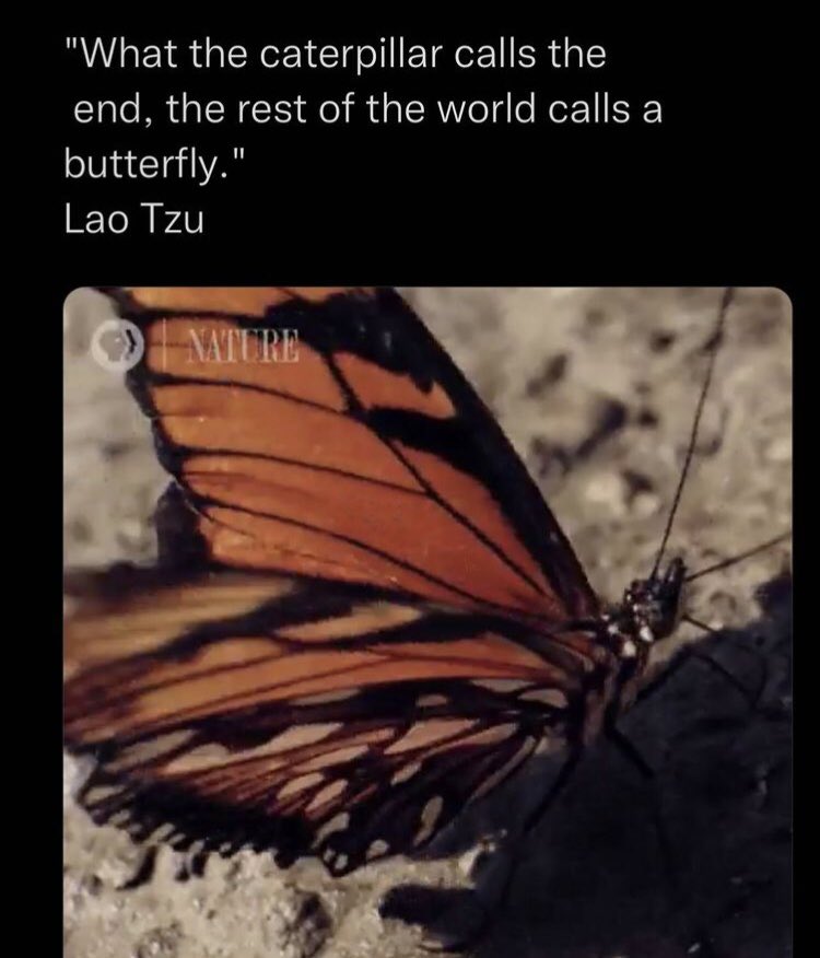 Roz (@roz15690569) on Twitter photo 