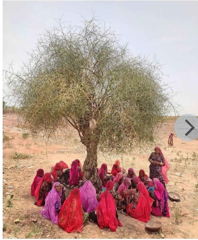 Boota Singh dhillon tweet media