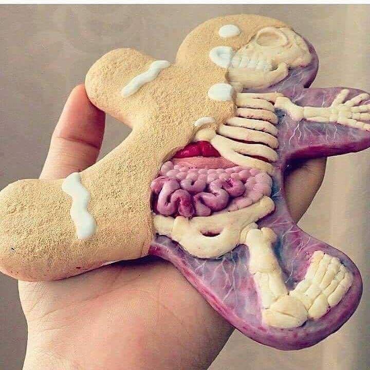 Looking for a #STEM project? Gingerbread man meets #biology via @ThingsCutHalf #ukedchat #asechat #BiologyTeacher #pedagoofriday #aussieEd
