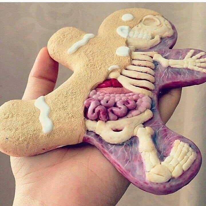 P ᴱᵀᴱ Sᴬᴺᴰᴱᴿˢᴼᴺ (@lessontoolbox) on Twitter photo Looking for a #STEM project? Gingerbread man meets #biology via <a href="/ThingsCutHalf/">Things Cut in Half</a>
#ukedchat #asechat #BiologyTeacher #pedagoofriday #aussieEd Looking for a #STEM project? Gingerbread man meets #biology via <a href="/ThingsCutHalf/">Things Cut in Half</a>
#ukedchat #asechat #BiologyTeacher #pedagoofriday #aussieEd