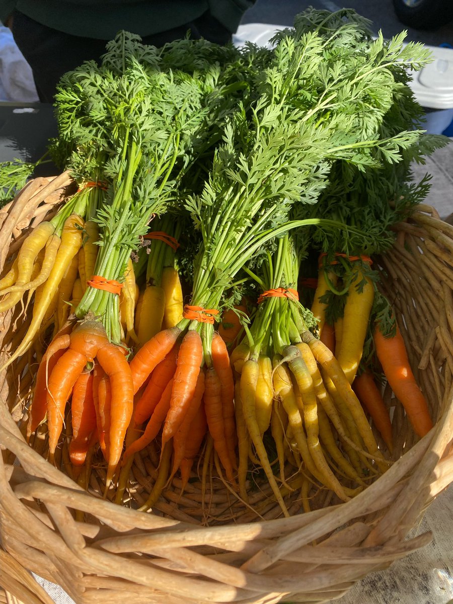 Camp, crocs, and carrots. Procter Center Farm’s second favorite trinity. Come visit our amazing center in London, OH!