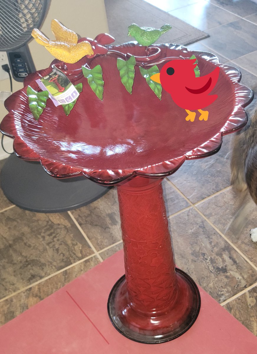 rubyntexas's tweet photo. I'm officially old....got myself a bird bath....but in all fairness, it hasn't rained in South Texas for weeks...birds lives matter
#saveabird
#birdslivesmatter https://t.co/z5AMT35wPs