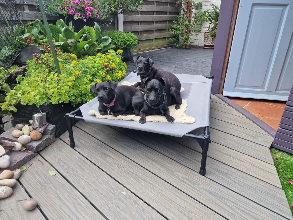 Just enjoying the garden before the sun goes down.