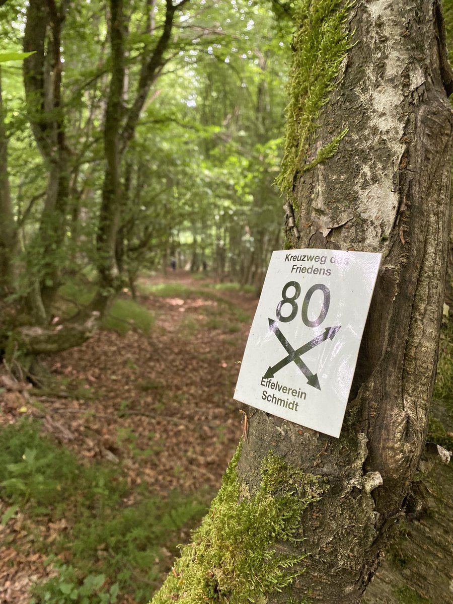 Outdoorseite tweet media