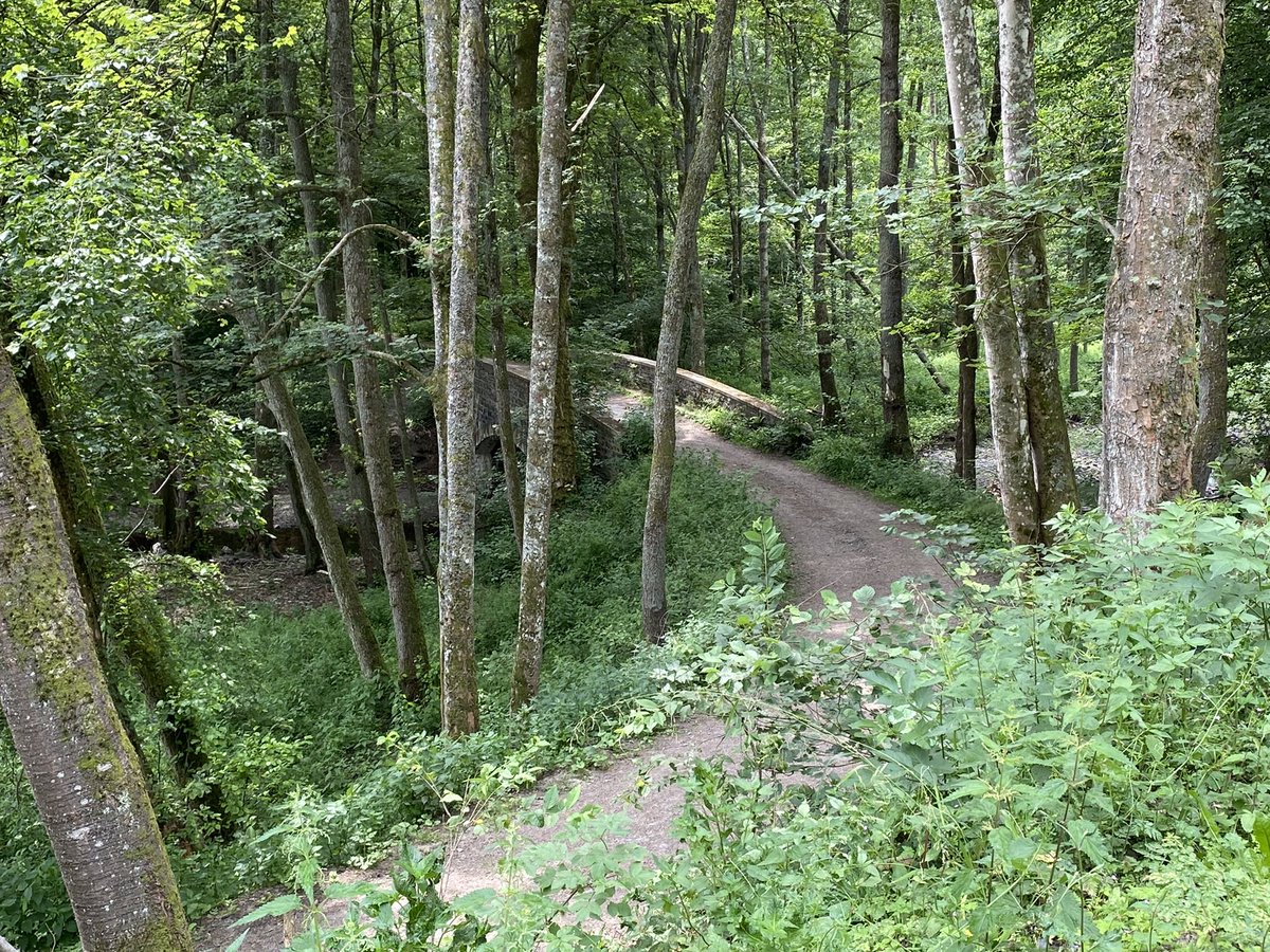 Outdoorseite tweet media