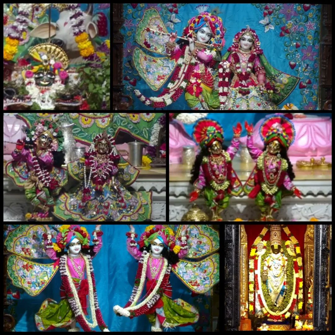 vrajaviharinis's tweet photo. 🤩😍DAILY DARSHAN😍🤩
(Iskcon Vrindavan)
(Iskcon Mayapur)
(Iskcon Pune)
(Iskcon Kolkata)
#lordkrishna #srimatiradharani #panchatatwa #jaijaganathdev #jaisubhadramaharani #jaibalaramdev #dailydarshan #auspicious #beauty #jaigaurnitai #jaigirirajbhagvan #jaisrinrishangadev #iskcon https://t.co/PJnjcu4s0X