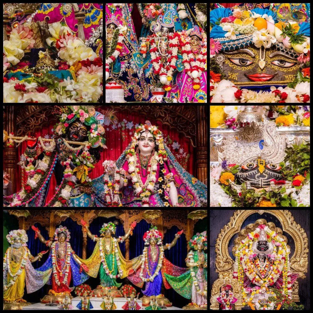 vrajaviharinis's tweet photo. 🤩😍DAILY DARSHAN😍🤩
(Iskcon Vrindavan)
(Iskcon Mayapur)
(Iskcon Pune)
(Iskcon Kolkata)
#lordkrishna #srimatiradharani #panchatatwa #jaijaganathdev #jaisubhadramaharani #jaibalaramdev #dailydarshan #auspicious #beauty #jaigaurnitai #jaigirirajbhagvan #jaisrinrishangadev #iskcon https://t.co/PJnjcu4s0X