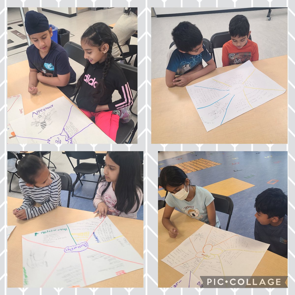 Today our Grade 2 buddies shared their insect research with us and the grade 4's had the opportunity to give feedback and ask questions. @CooteHAB <a href="/HABschoolCBE/">HughABennettCBE</a>