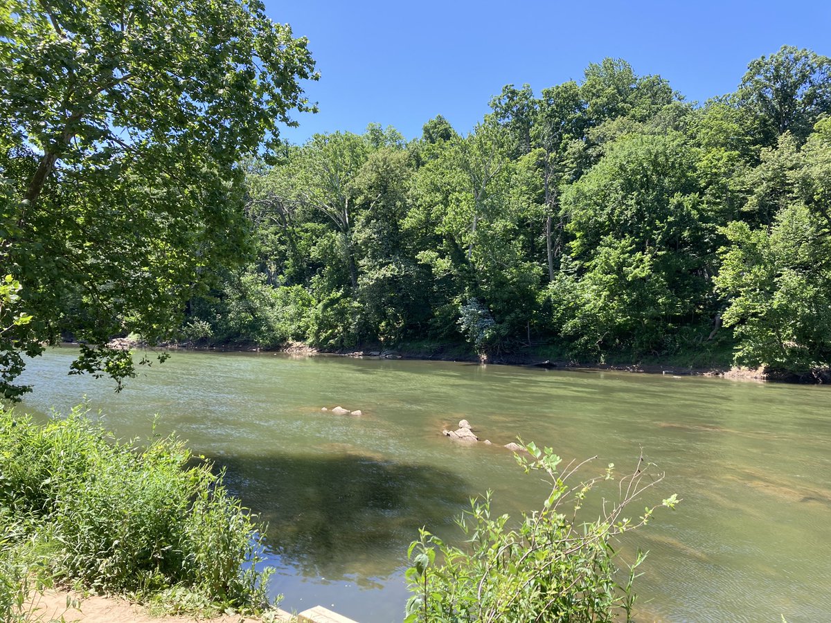 TomoakiIshigaki's tweet photo. Happy Father’s Day! Enjoying a family trail near DC and saw many families having barbecue parties in the park. #DCLife #BillyGoatTrail https://t.co/I1cc69vZpJ