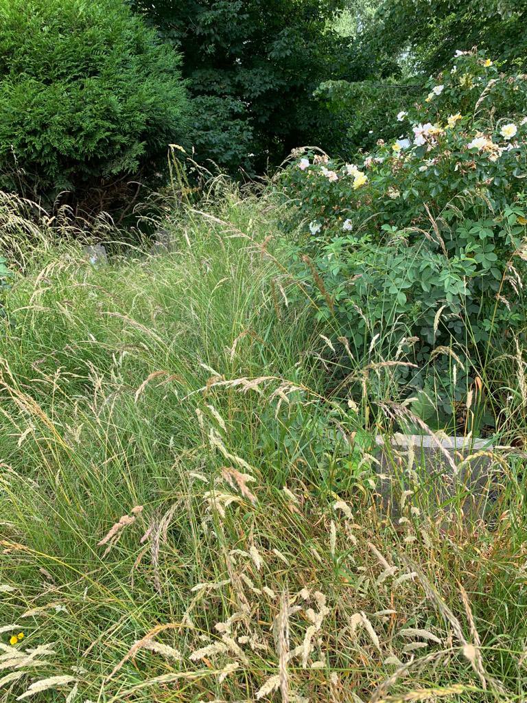 Glenn Brewer tweet media