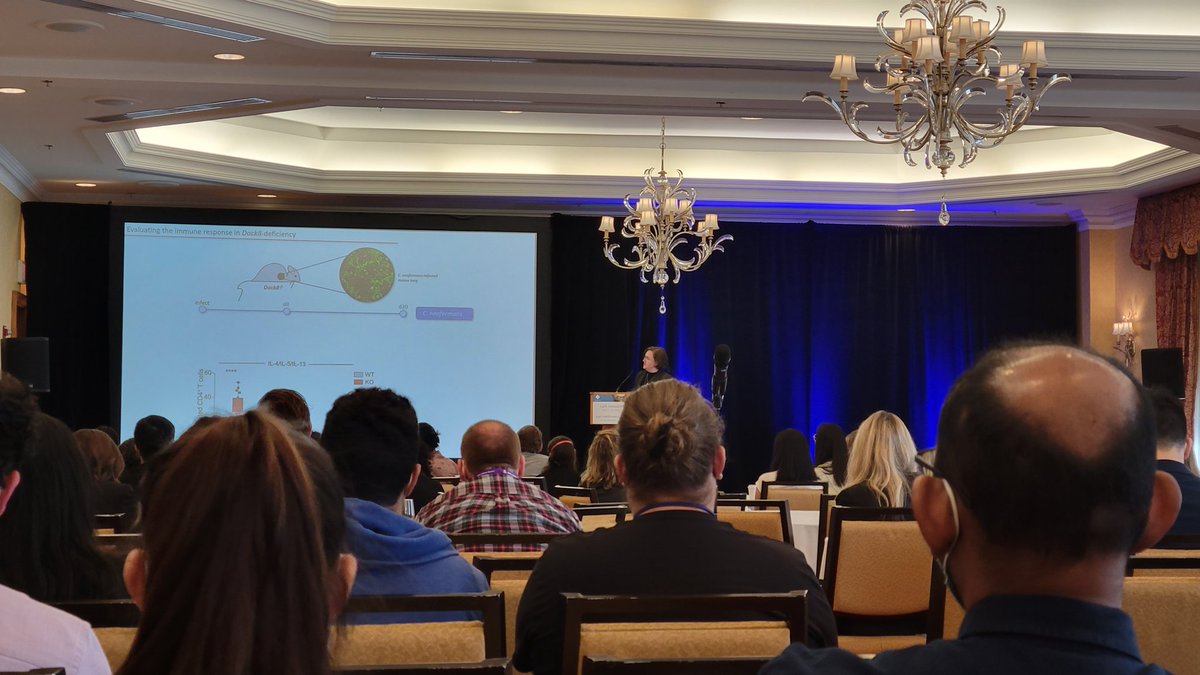 jpostat's tweet image. Our favorite immunologist @caitlinisinlab presenting her beautiful work at #CSI2022! 🤗🤗