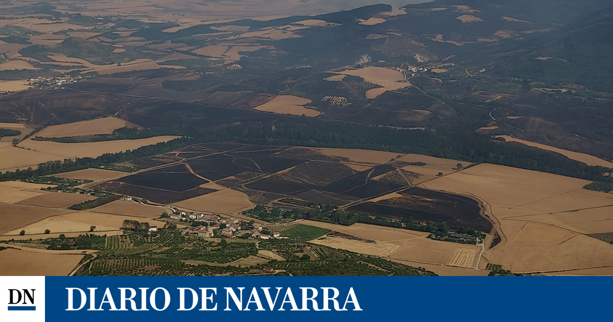 DiariodeNavarra's tweet photo. CaixaBank habilita una línea de financiación para los afectados por los incendios en Navarra https://t.co/w1sbAtsQaB https://t.co/6XCIEPkKbY