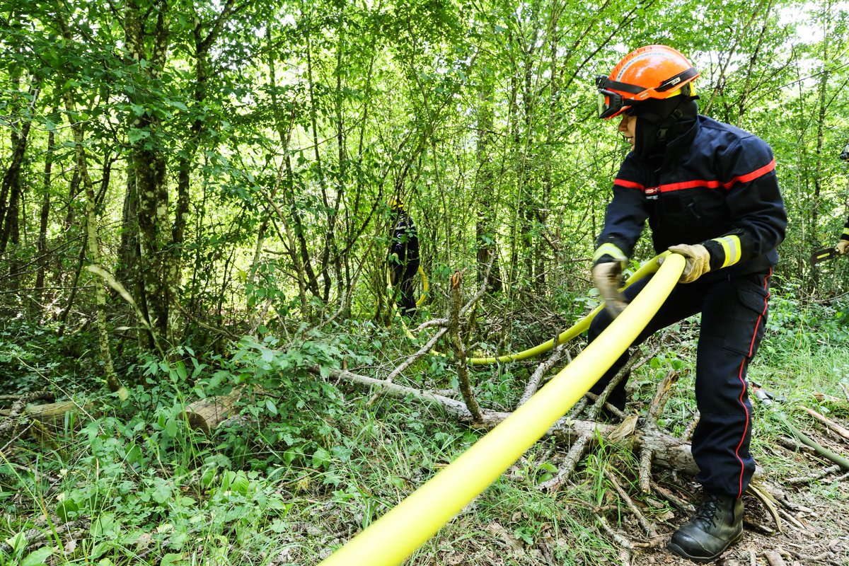 sdis21's tweet photo. 🔥 Feu de forêt à #Selongey : 135 sapeurs-#pompiers engagés, 47 engins sur les lieux dont 24 camions citernes. Renforts des @sdis_10, @sdis25, @SDIS_89, @sdis70, @sdis52. 

➡️ Les opérations seront de longue durée. https://t.co/zx7EdZ7BpR