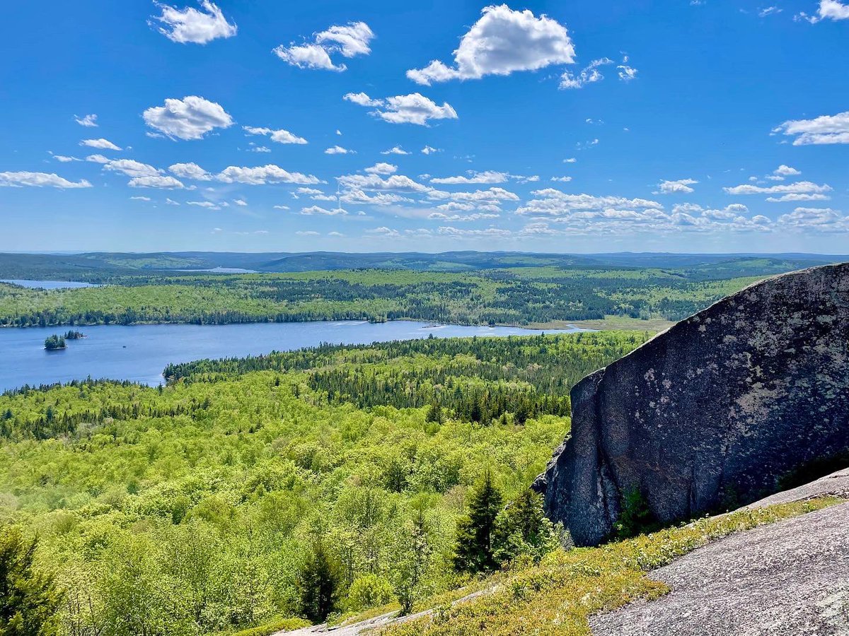 outandacross's tweet photo. Has anyone hiked Turtle Mountain lately? The one in #NB, not AB. It’s a good one! Bella enjoyed it, too. Here’s a bit about our experience: https://t.co/cctxS2ACFj @DestinationNB @VisitSaintJohn @hikingnb #ExploreNB #HikeNB https://t.co/ClwWwjbkn5