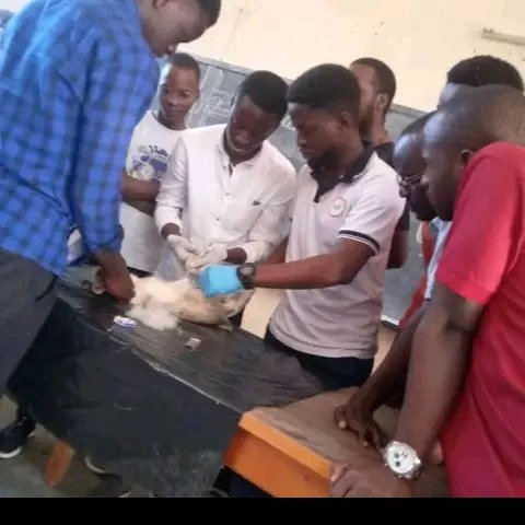InciSioN Burundi tweet media