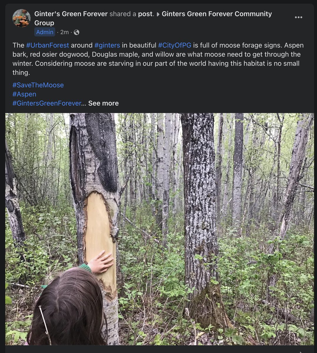 JennXForests's tweet photo. This is why we we need to care about how our city, #CityOfPG @CityofPG, is developed. Are we really going to continue to trade in the forest on the left for development on the right?
We need true #InFilling to meet our housing needs.
#Moose #MooseFood #GintersGreenForever https://t.co/gPqX8R6CiK