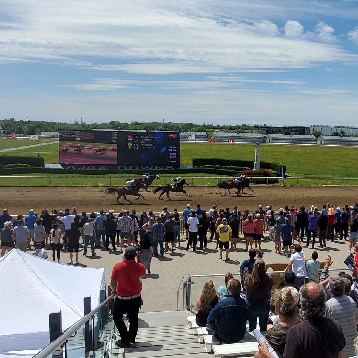 Race Day Picks Ajax Downs