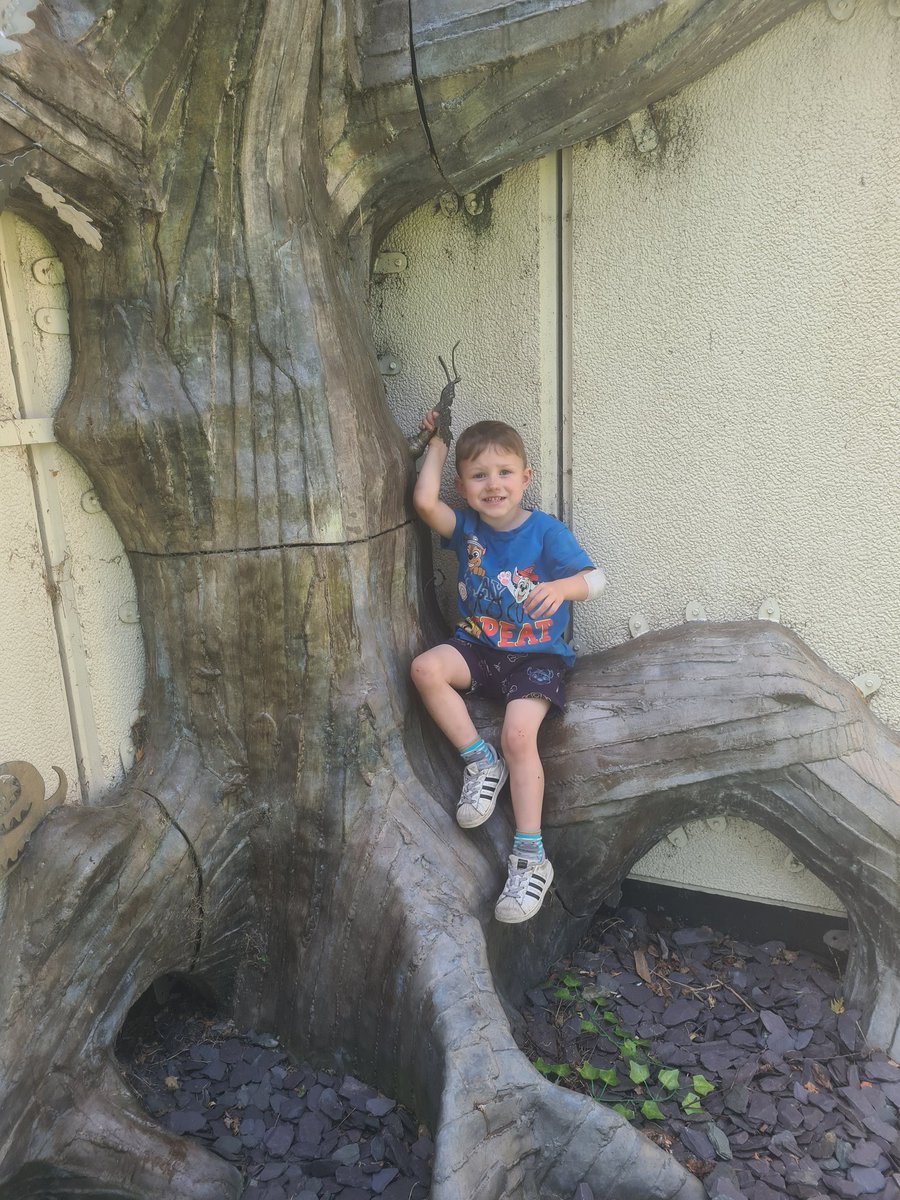 XTaniita's tweet photo. My boy malachy 😍 https://t.co/PNRDq80eP0