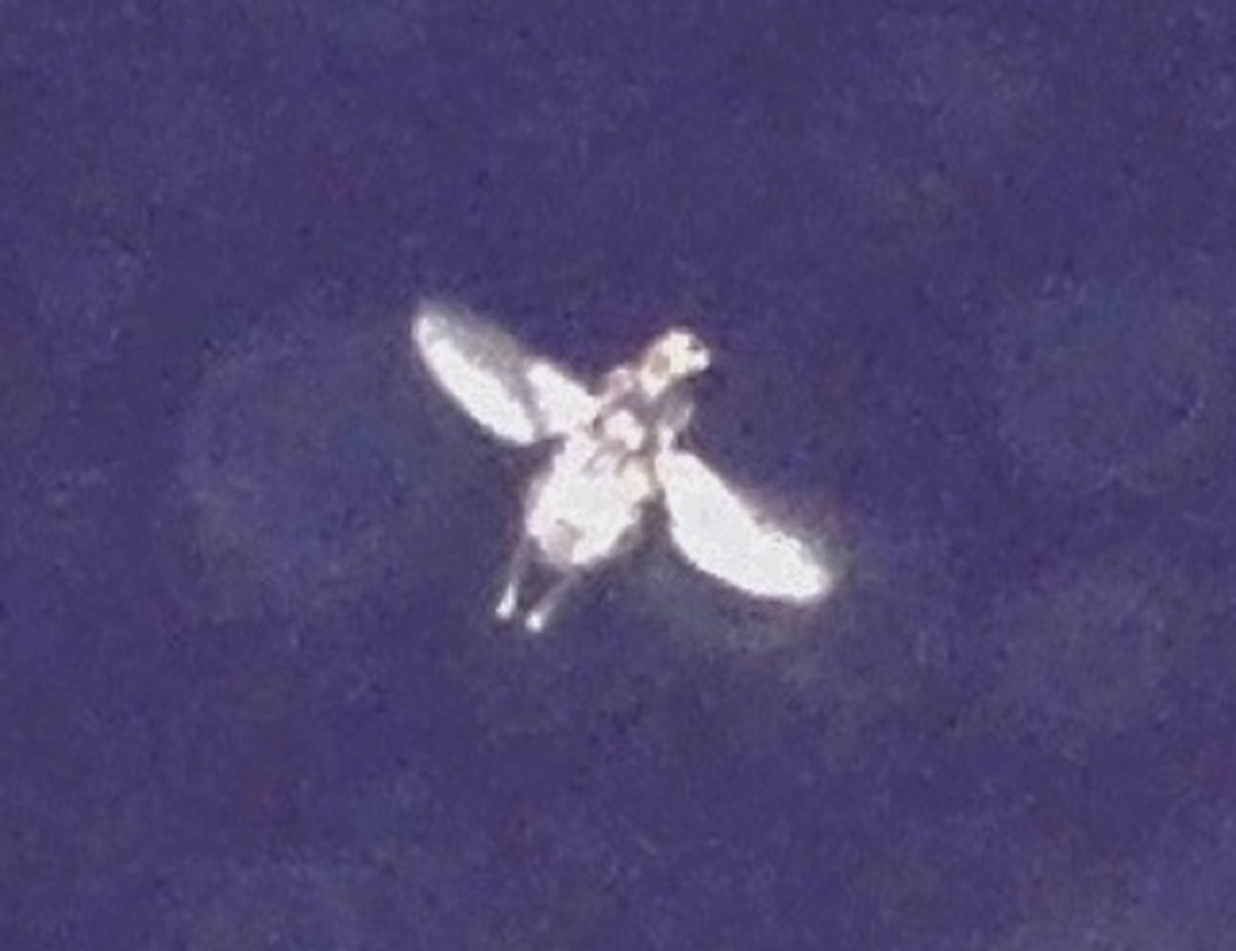 Discovery112611's tweet photo. @I_D_Official There's no understanding the alien world until you realize Mother Nature is the boss. Nothing is as it seems. Would you like to obvious yet invisible ducks in front of a duck-shaped rock? The creature you see is proven to fly to the moon. Oh, and their peaceful faces are human. https://t.co/yls0l3fmSJ
