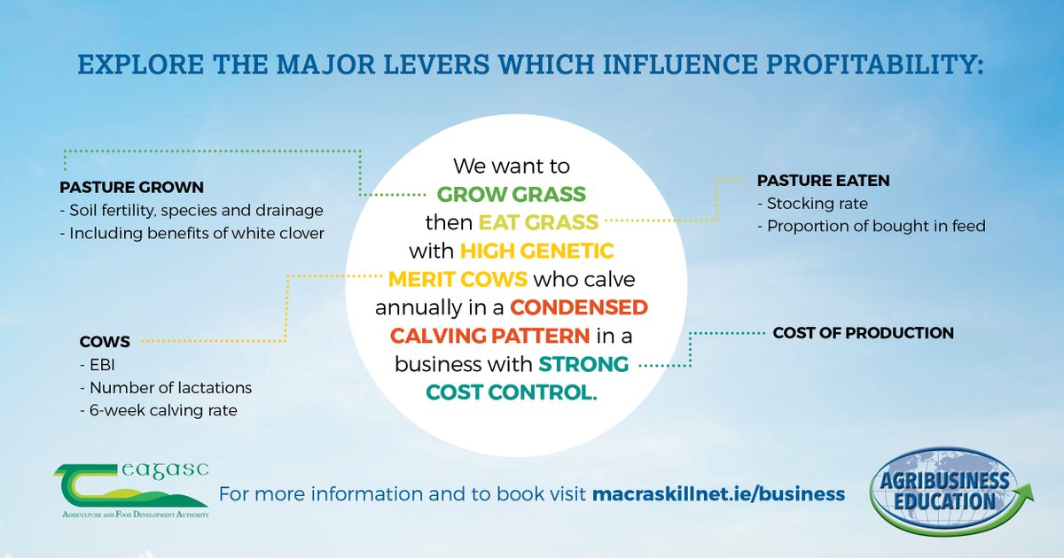 Major levers of profitability