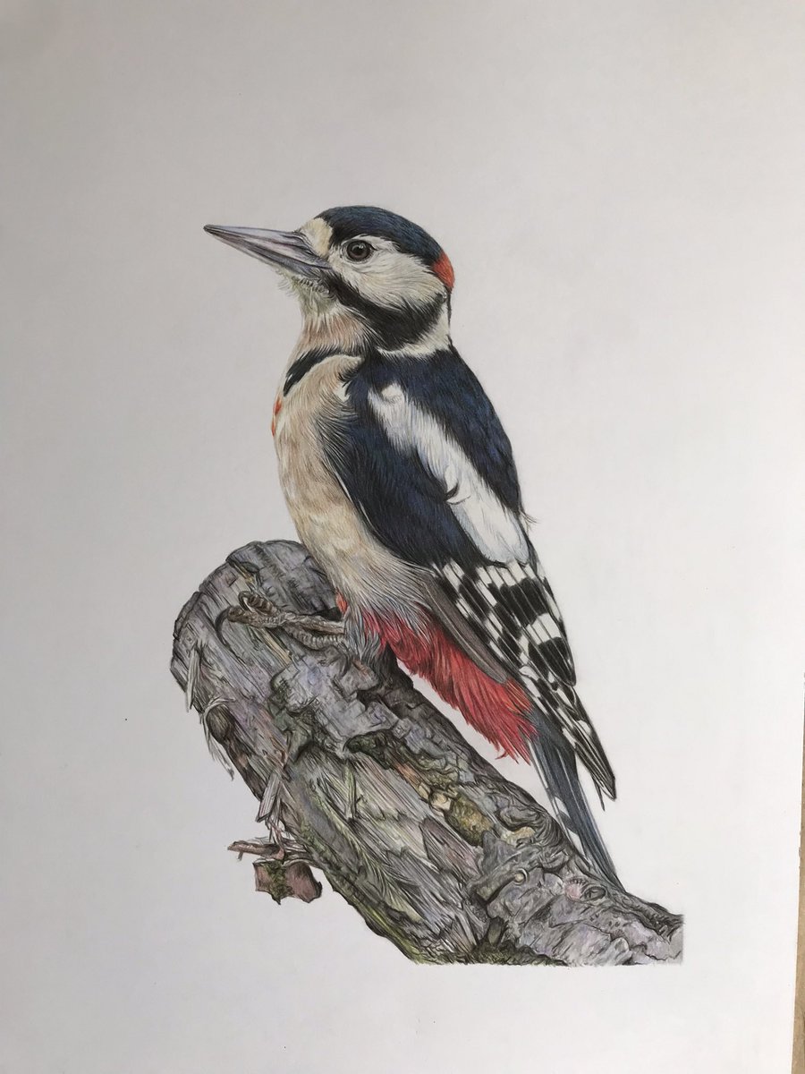 Lisa Wellwood Artist tweet media