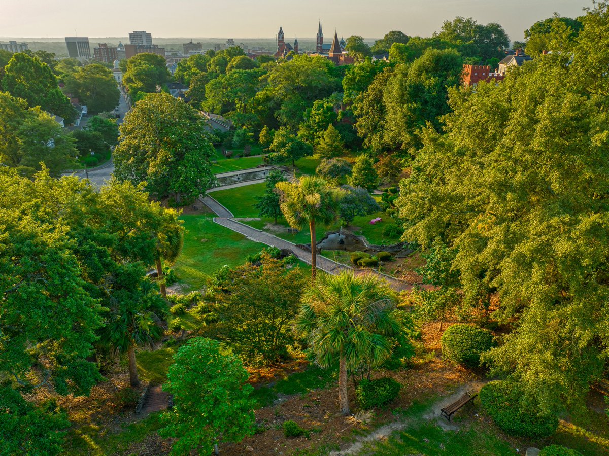 Macon From Above tweet media