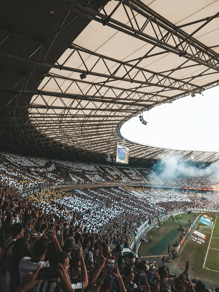 lucaxcmd's tweet photo. VAMOS GALO! 🐔🖤 https://t.co/OqooElr4Pi