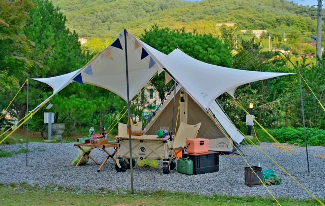 .
바다가 썩지 않는 이유는
0.3% 의 염분 때문이다

서로에게
염분이 되는 인연이 되길
.