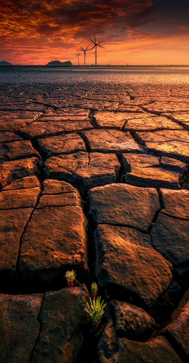 .
.
길 위에서
길 밖의 풍경을 본다

나도
풍경이 될까해서

서로에게
풍경이 될수 있기를 .. 탄도항 에서
.