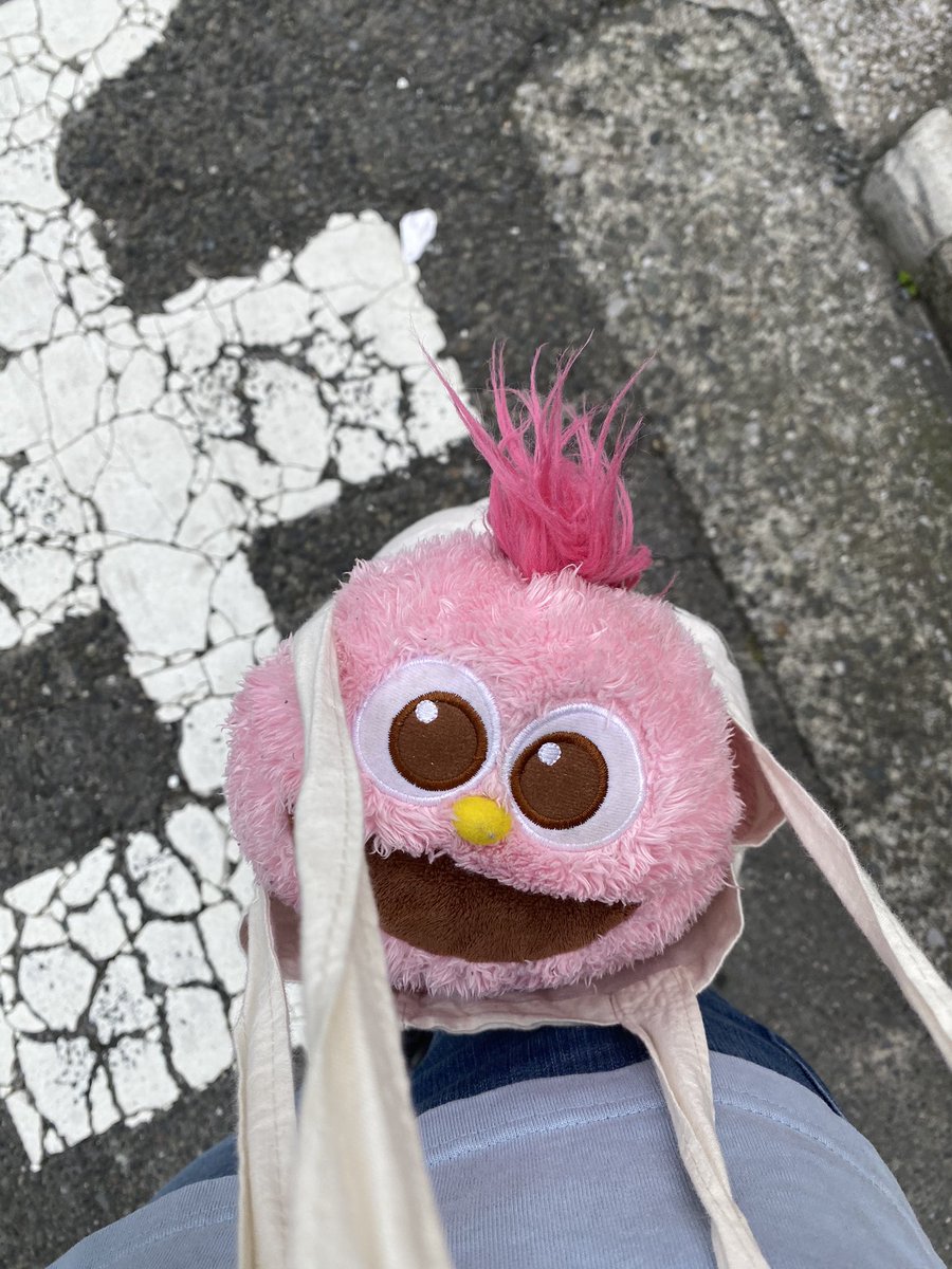 yupomum's tweet photo. 本日の相棒はこちら。
手持ちのエコバッグじゃ隠しきれず、
これでもかってほど主張して来る
可愛いお方😂

#次女
#通園
#モッピー
#健気なお顔 https://t.co/75pDZCc7zW