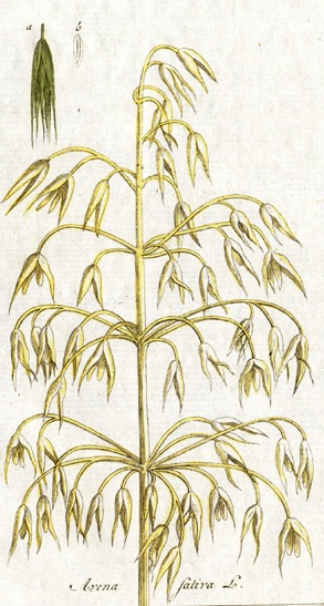 Republican Calendar tweet media