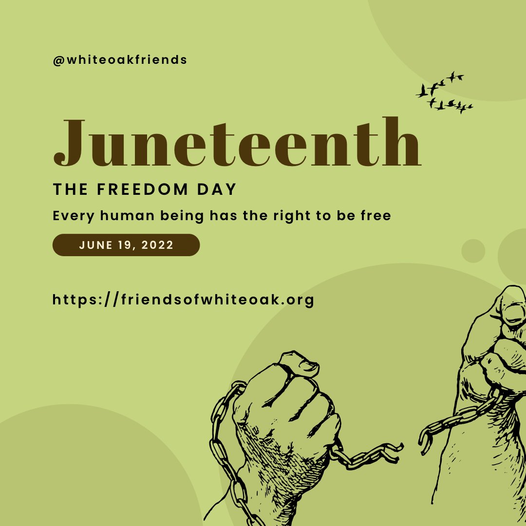 Friends of White Oak tweet media