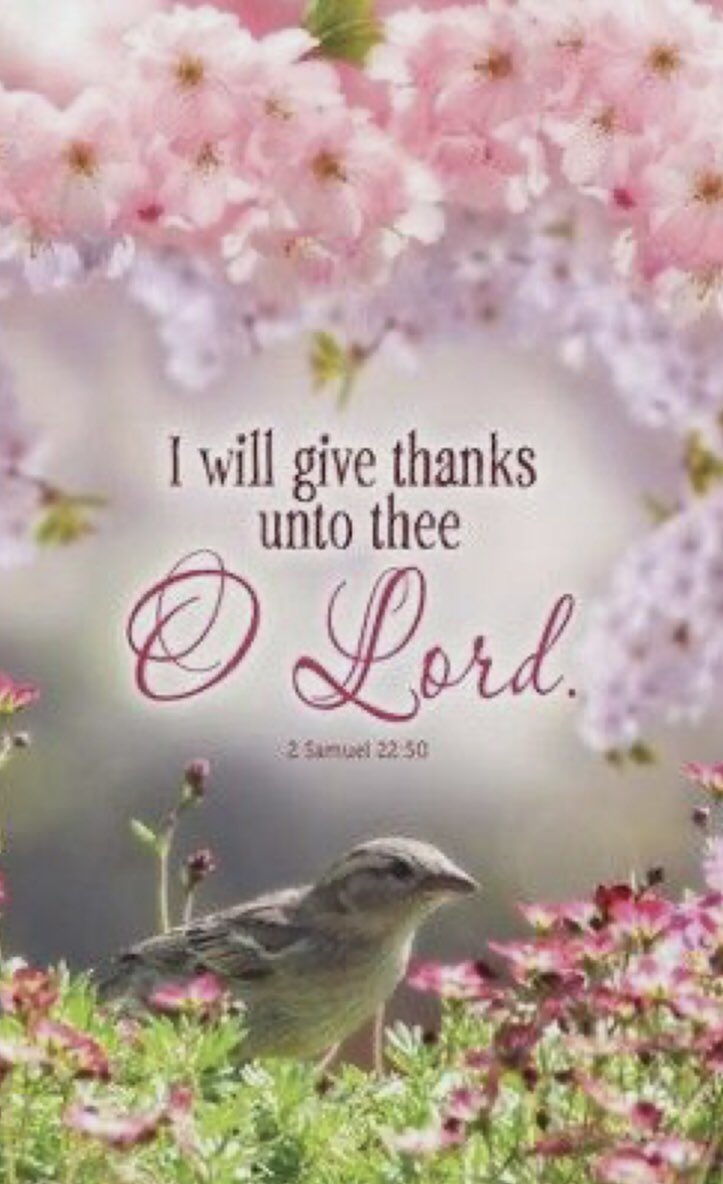 savebygrace71's tweet image. 🤍💗