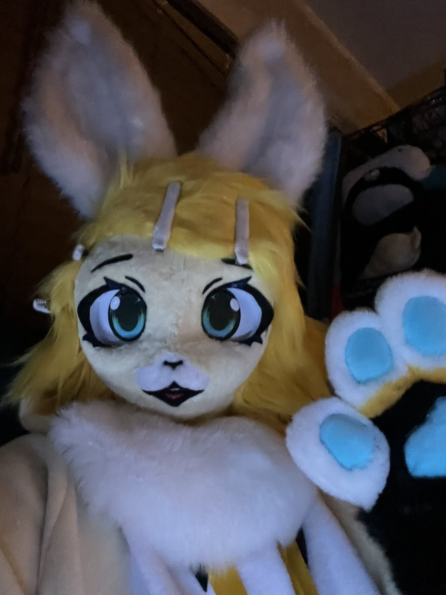 Rinaminezz's tweet photo. Hello Rin Bun! 🍊
 (Ik this photo is old , but it’s for this account)
#VOCALOID #KagamineRin #furryfandom https://t.co/GpmJ3VpVTN