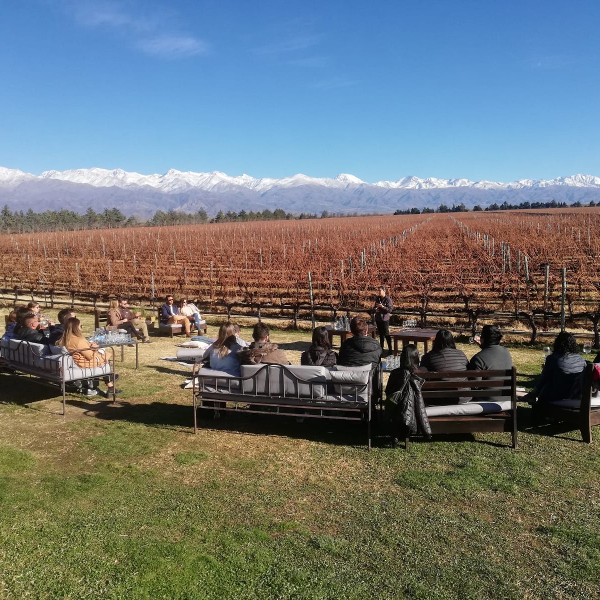 BusVitivinicola's tweet photo. 👉Hoy estuvimos #Bodegueando en #Valledeuco‼️
👉 Compartimos algunas postales de nuestras visita y degustación en Bodega Andeluna
👉 WhatsApp 📲+54 9 261 2 63-9439 https://t.co/CI9cdj9Pbw