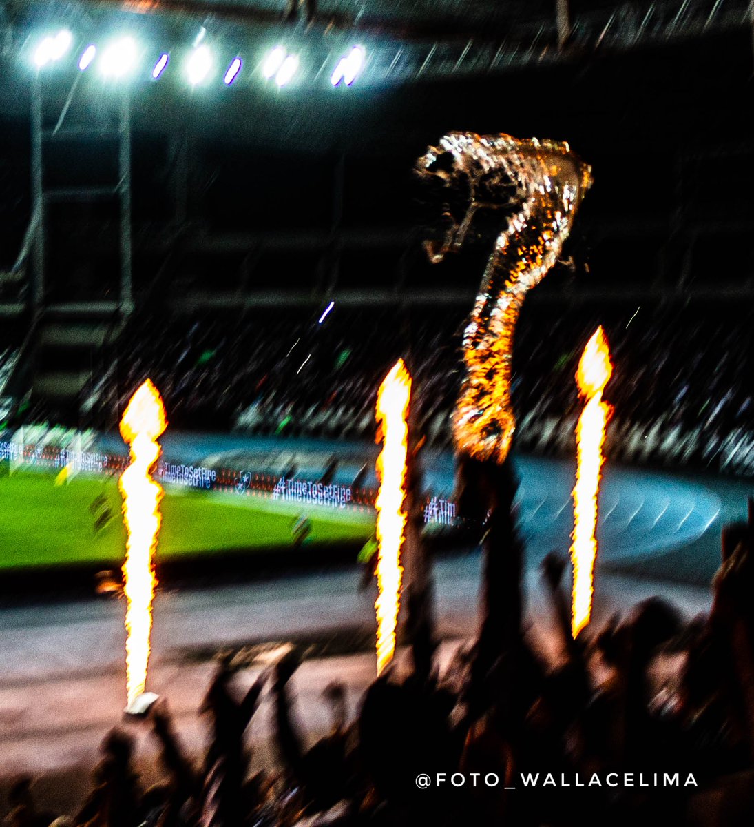 Para brindar uma vitória épica ! Exato momento de um Gol do <a href="/botafogo/">Botafogo F.R.</a> 🔥

#Brasileirao #Botafogo #Glorioso #Futebol