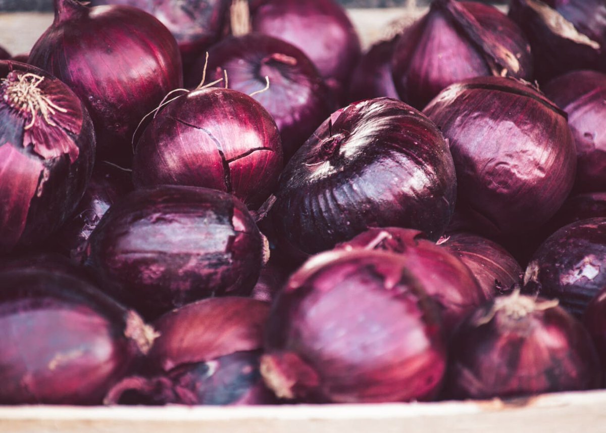 After the French Revolution, saints' days were replaced with days honoring important items in rural French life. June 21 was the day to honor the onion.