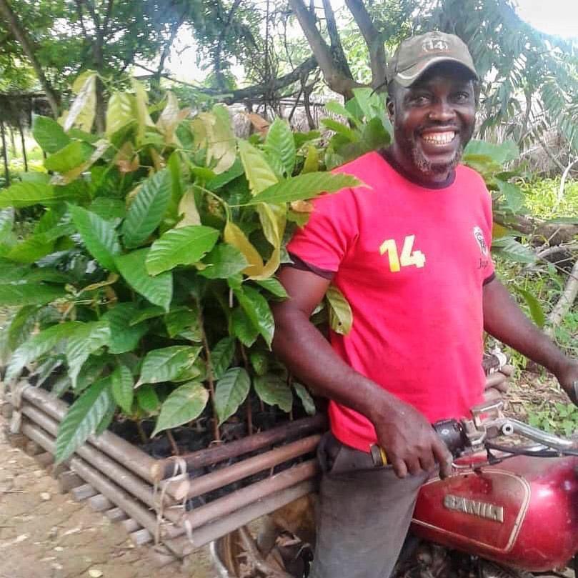 We are transporting tree seedlings by motorbike to community farms for planting!

The current rainy season is the best time to plant young trees. 

Once we’re done, our communities will have planted 100,000 trees this year - go team!🌳💚 #trees #regenerativeagricultural