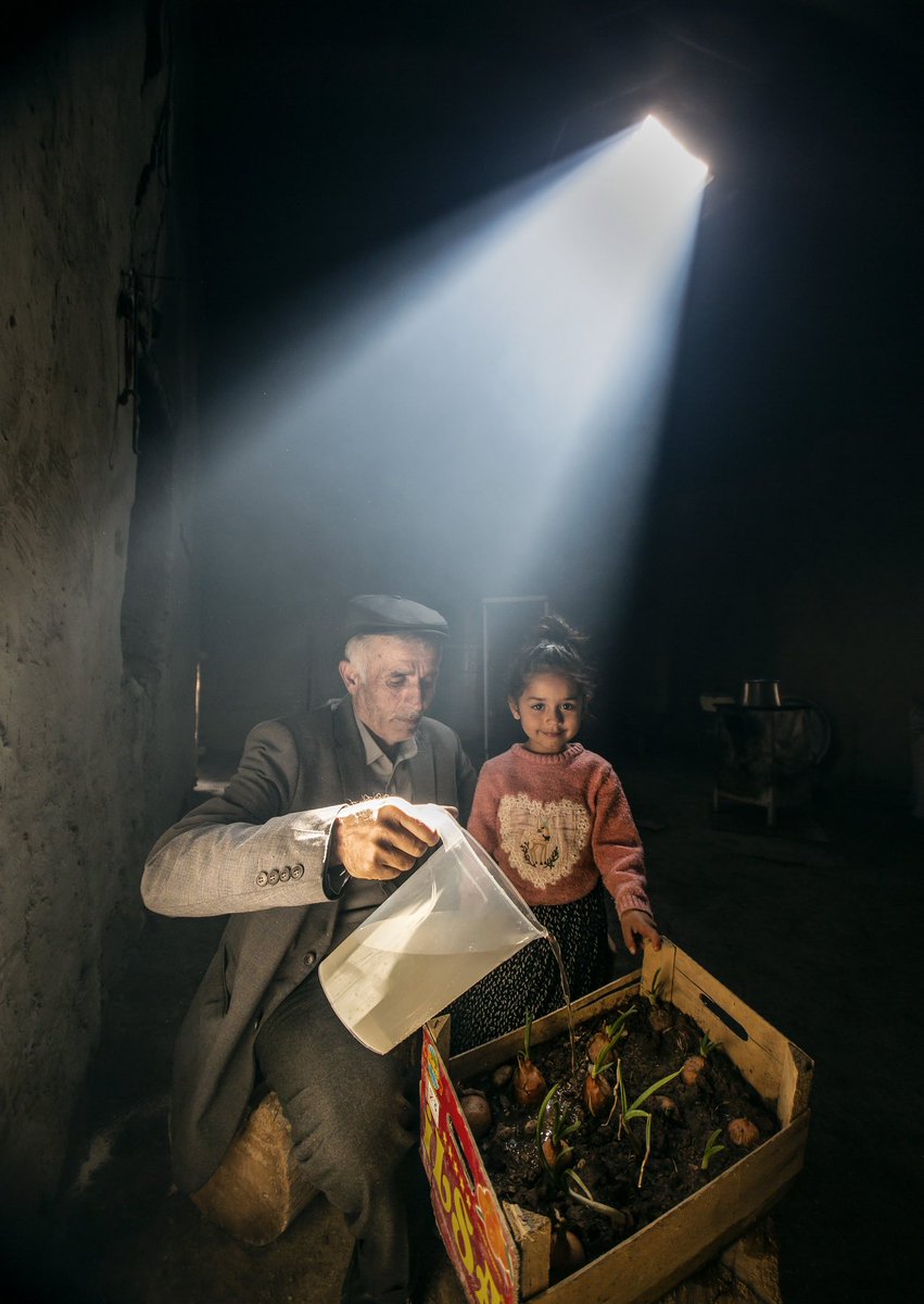 seyvanoglu's tweet image. G e n e r a t i o n

"Grandfather and Grandchild"

📌 Edition: 15/15
📌 Edition price: 0.03

Edition Link:

opensea.io/assets/ethereu…