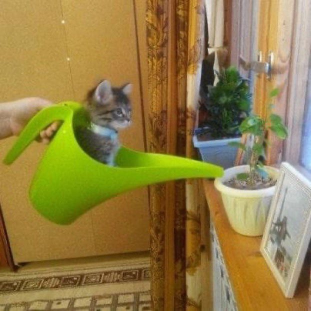 PetWorld02's tweet photo. https://t.co/YxioOrSwNQ