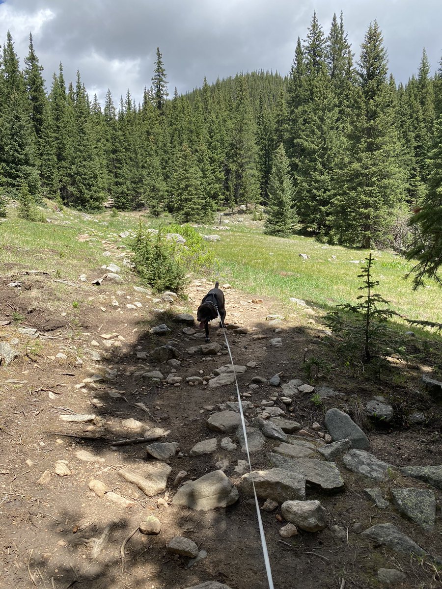 Long ass hike! #mountevanswilderness