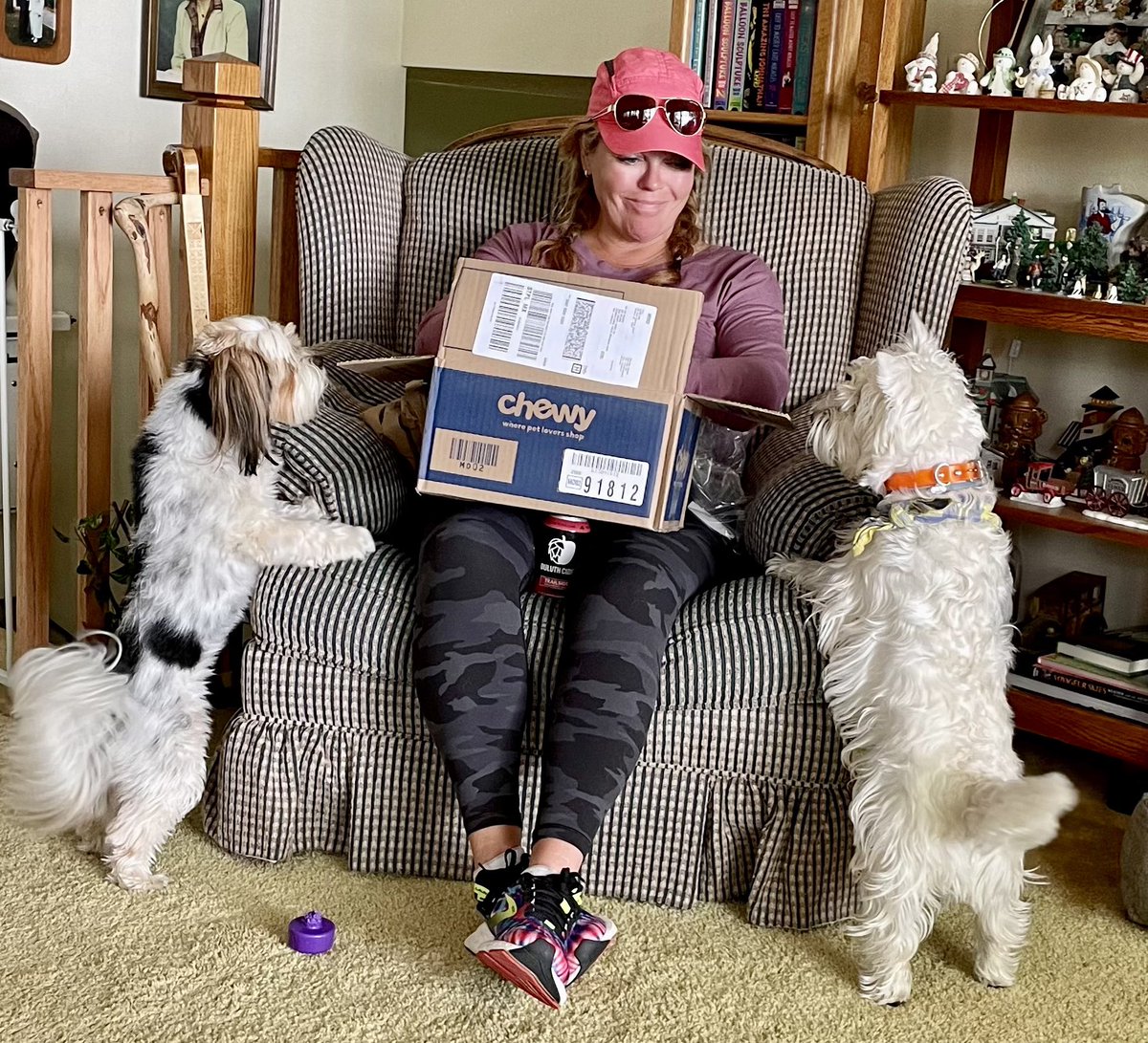 Linwinns's tweet photo. Thank you @Chewy for the toys. I think they were excited!!! https://t.co/PjpFFAFa6k