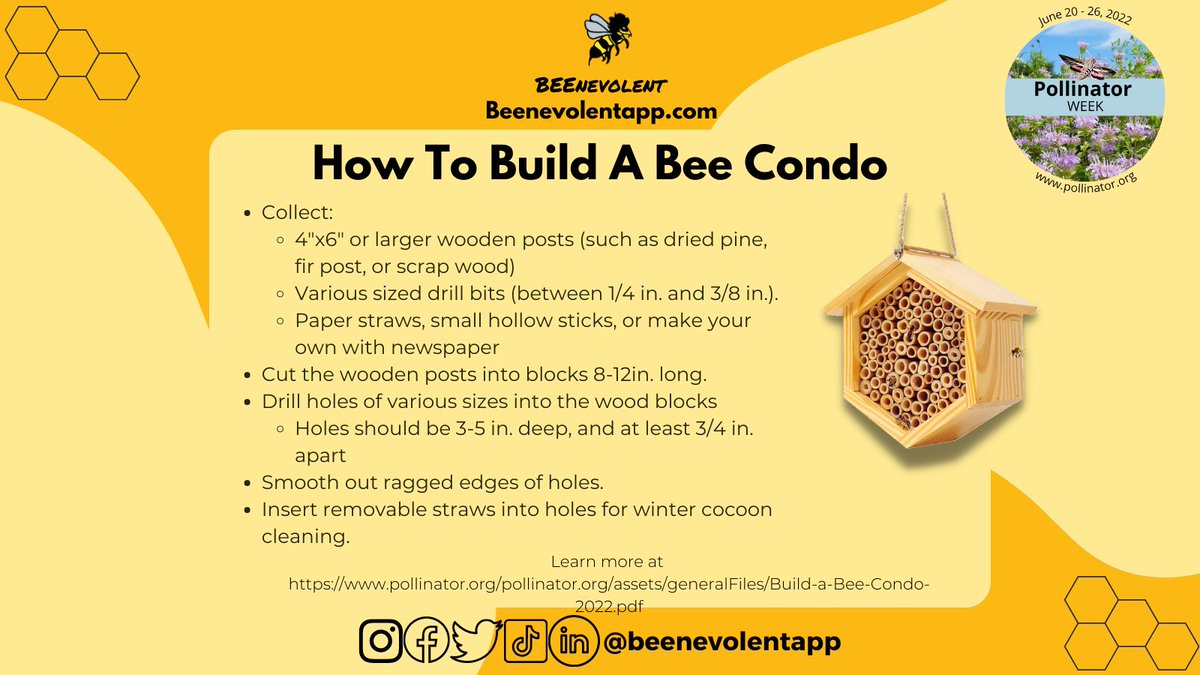 beenevolentapp's tweet photo. Bee Condos can encourage native bees to nest near your gardens, crops, and plants by providing a space for bees to store honey, lay eggs, and burrow. Build a bee condo &amp; share it with us to show love to your plants &amp; local bees
#PollinatorWeek #PollinatorMonth #beekeeping #bees https://t.co/Mgq5P9dzgq