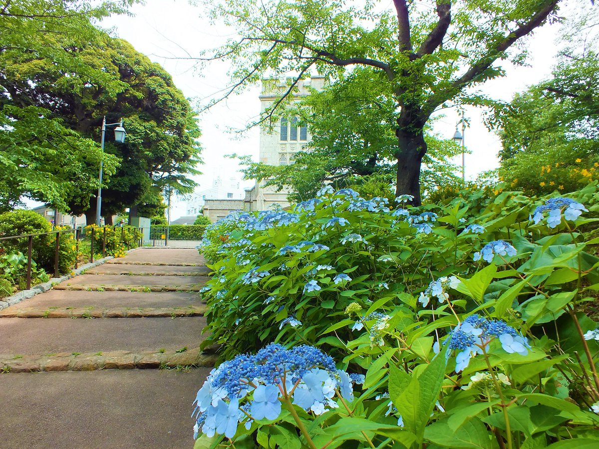 おはようございます(*^^*)
今日も素敵な一日になりますように～(˶･ᴗ･˶)💕
本日もよろしくおねがいします
Have a nice day!💋
【散策～横浜】