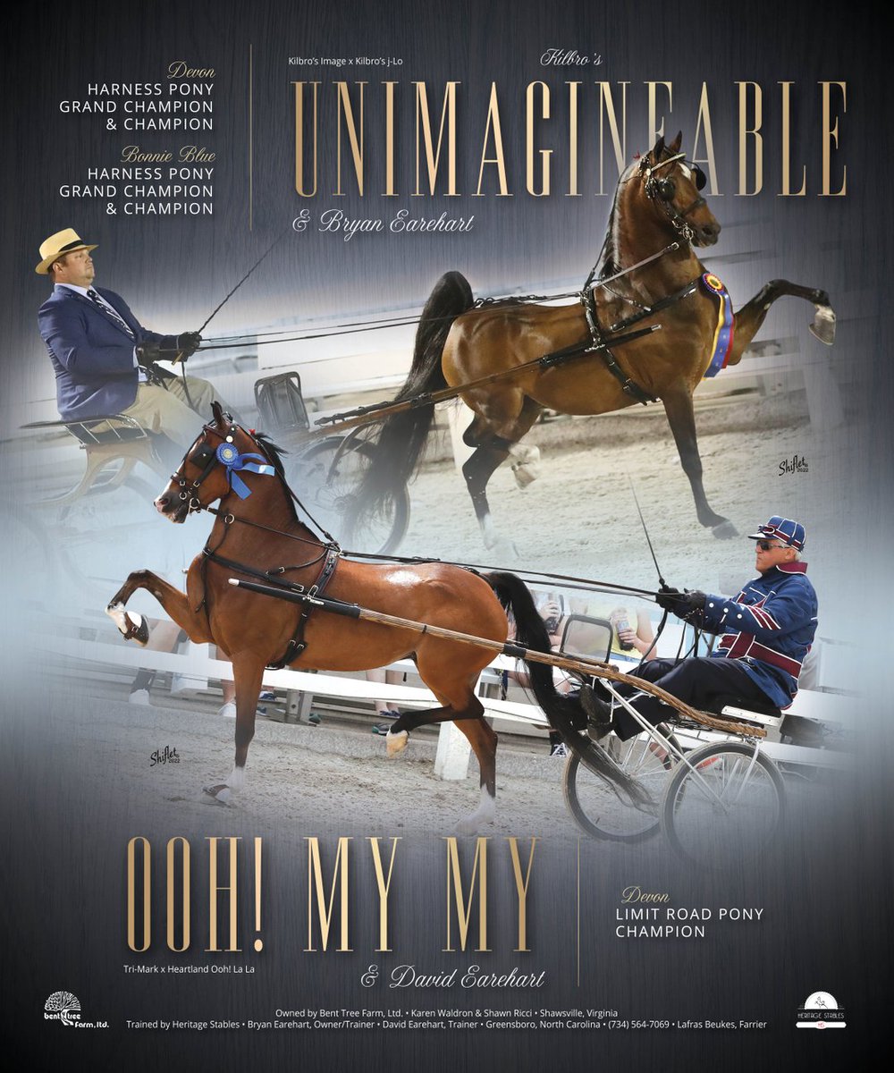 TNH1865's tweet photo. #nationalhorseman @devon1896 #bonnieblue @bryanearehart #davidearehart #benttreefarmltd #heritagestables #harnesspony #roadpony #hackneyhorse https://t.co/xG5xI9SyKe
