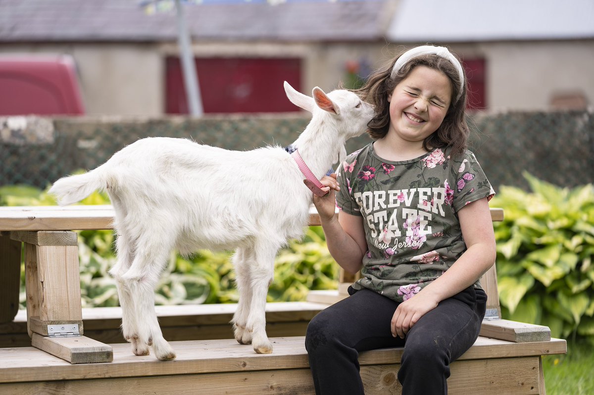 BOIopenfarm's tweet photo. 📸FARM UPDATE 📸 Bank of Ireland Open Farm Weekend has drawn to a close. Thank you for support! We know our farm families loved meeting you and hearing what you enjoyed about your experience. Thank you for sharing pictures of your visits- here are a few that caught our eye! 👀 https://t.co/IAEiWBprU2