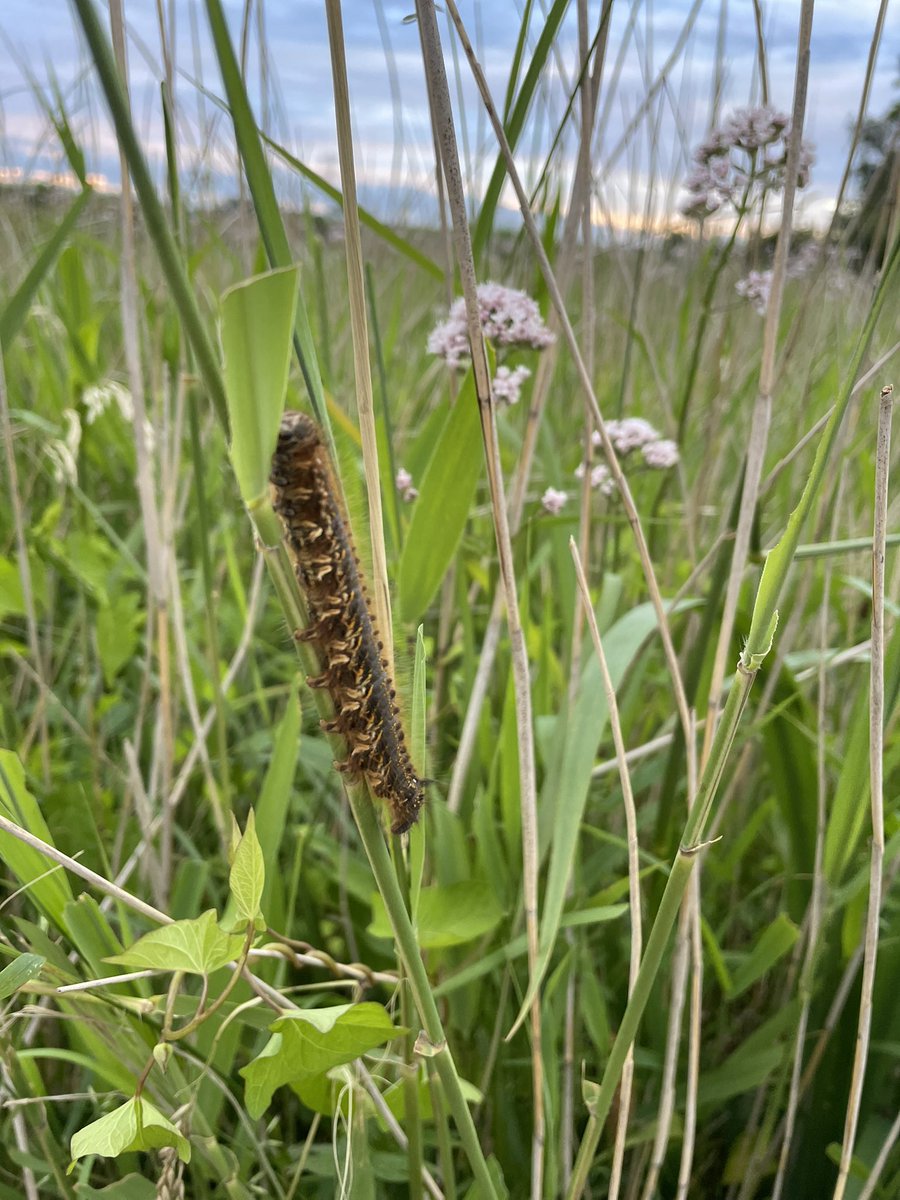 Wat gaat dit worden?