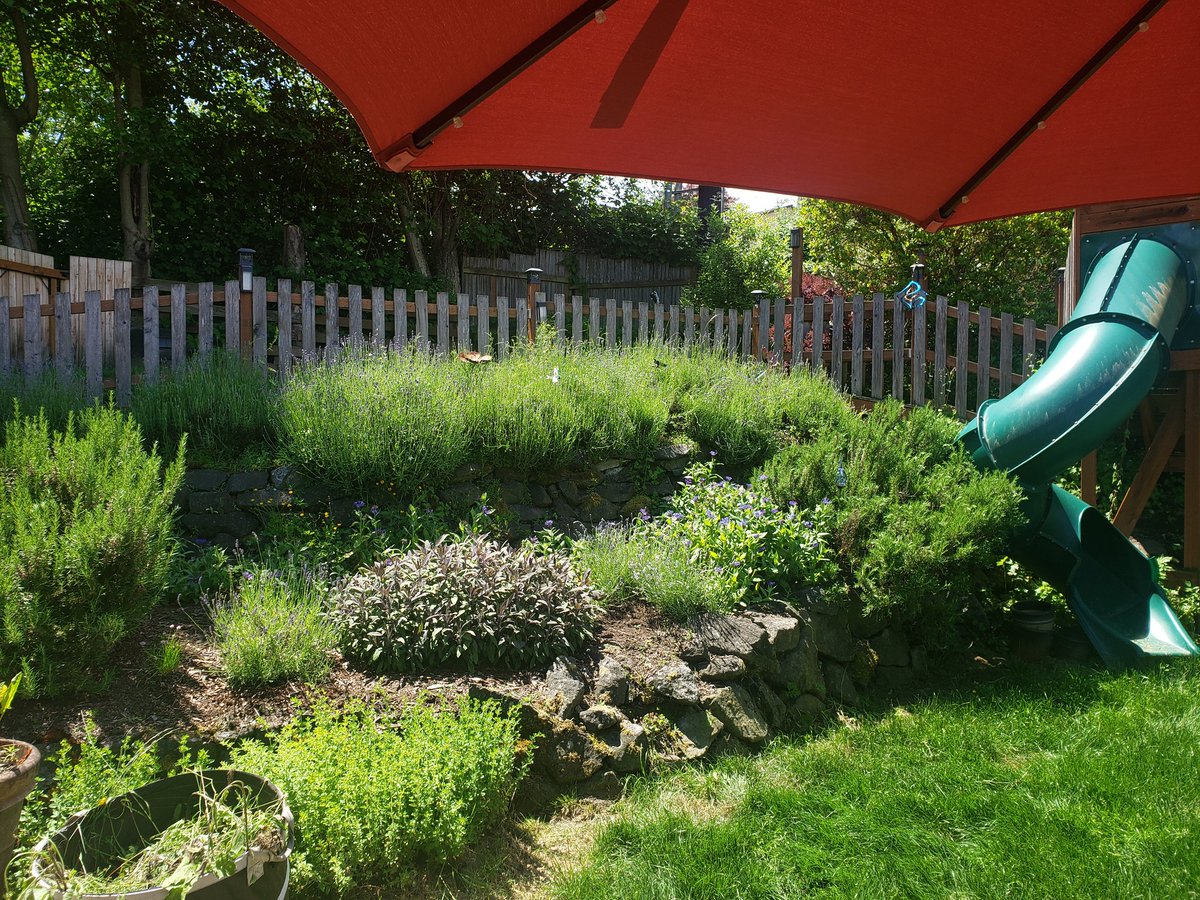 VirtualChrista's tweet image. I'm not going to complain about the cool summer we're having, but I'm loving our first gorgeous summer day.