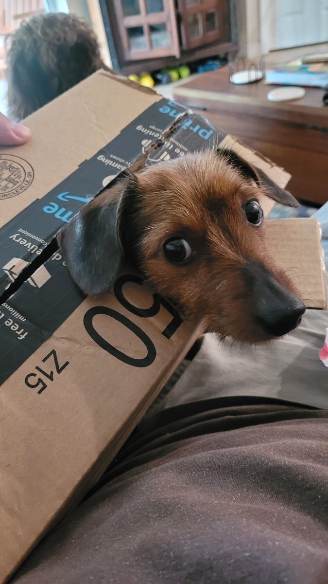 Thanks Amazon for this quality Father's Day gift!